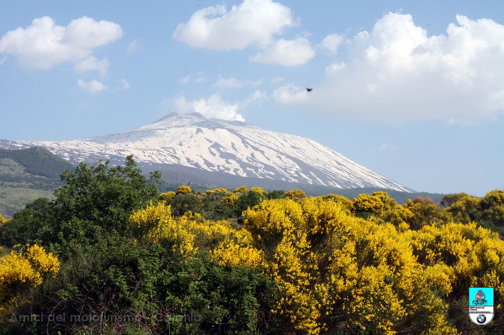 montalbano_253.JPG