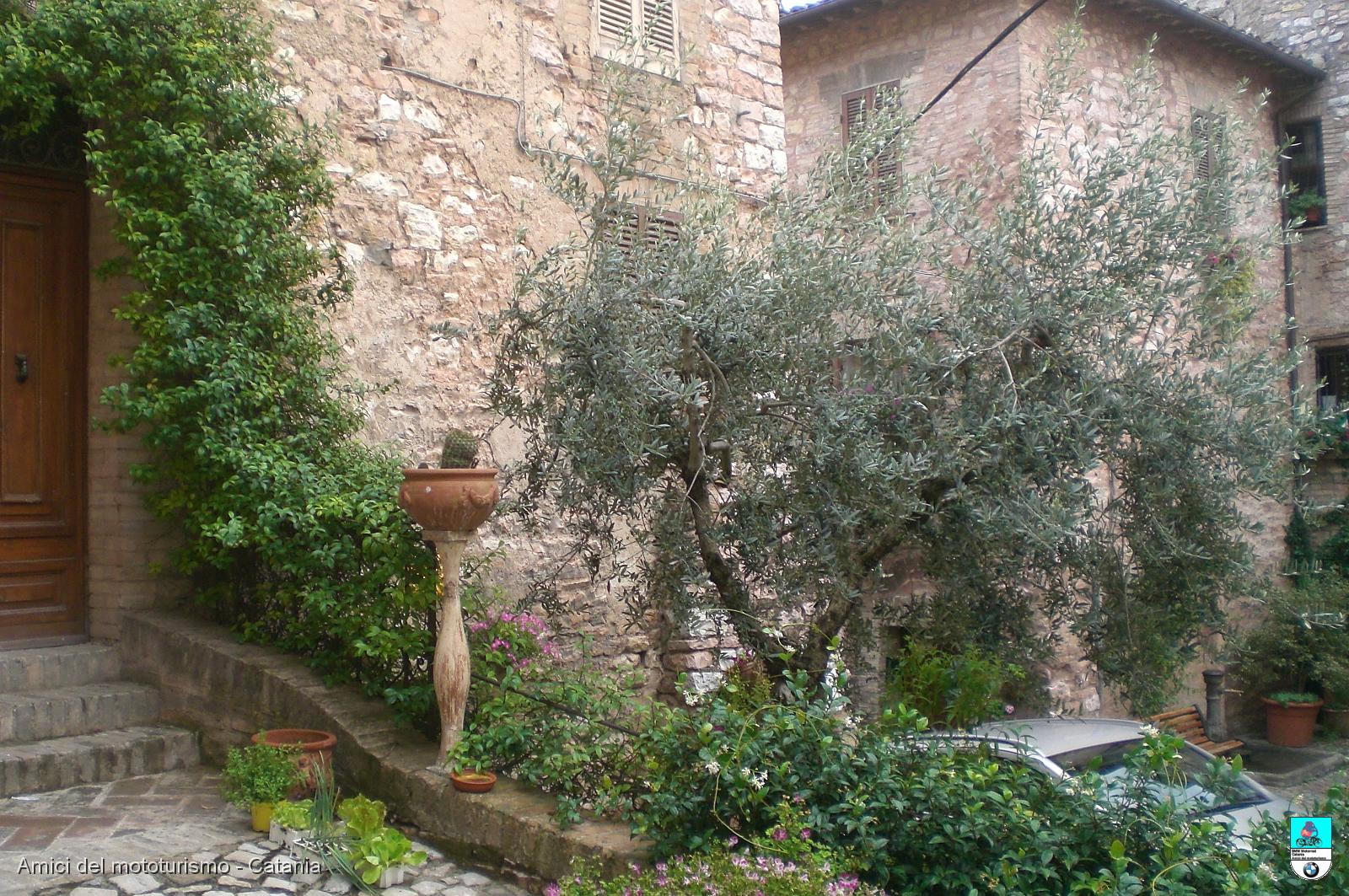 spello_229.JPG