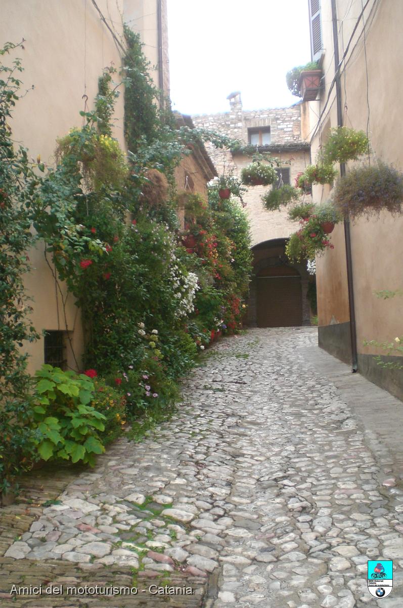 spello_230.JPG