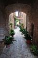 spello_048