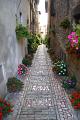 spello_202