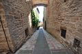 todi_202