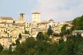 todi_228