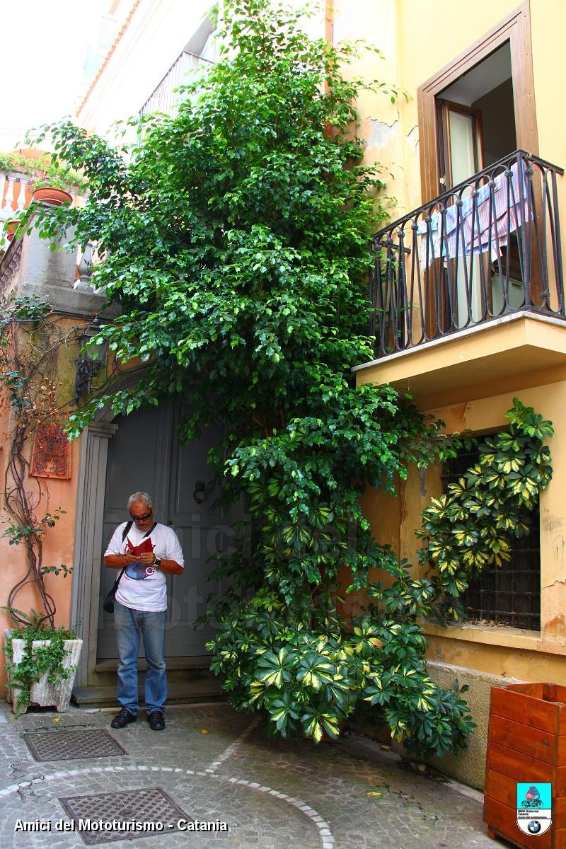 calabria2013_0381.JPG