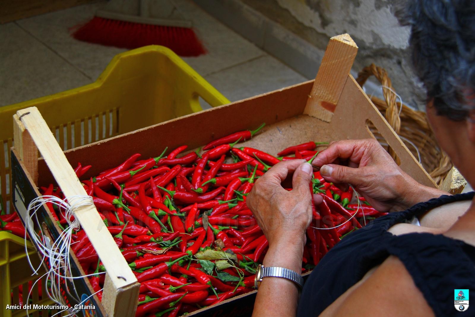 calabria2013_0384.JPG