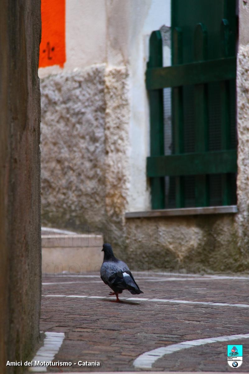 calabria2013_0391.JPG