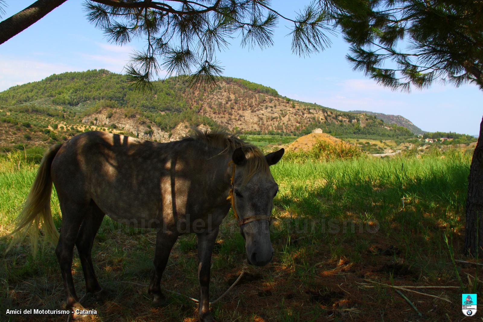 calabria2013_0542.JPG