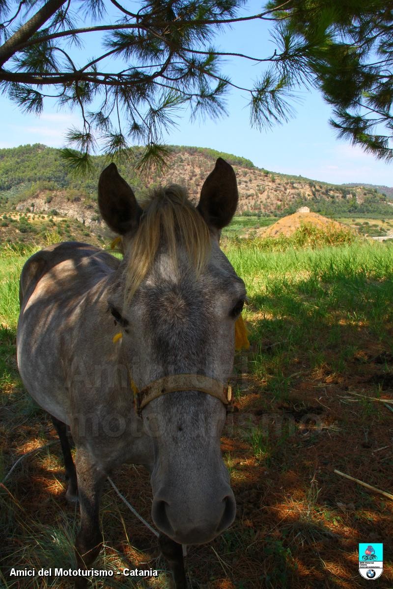 calabria2013_0543.JPG