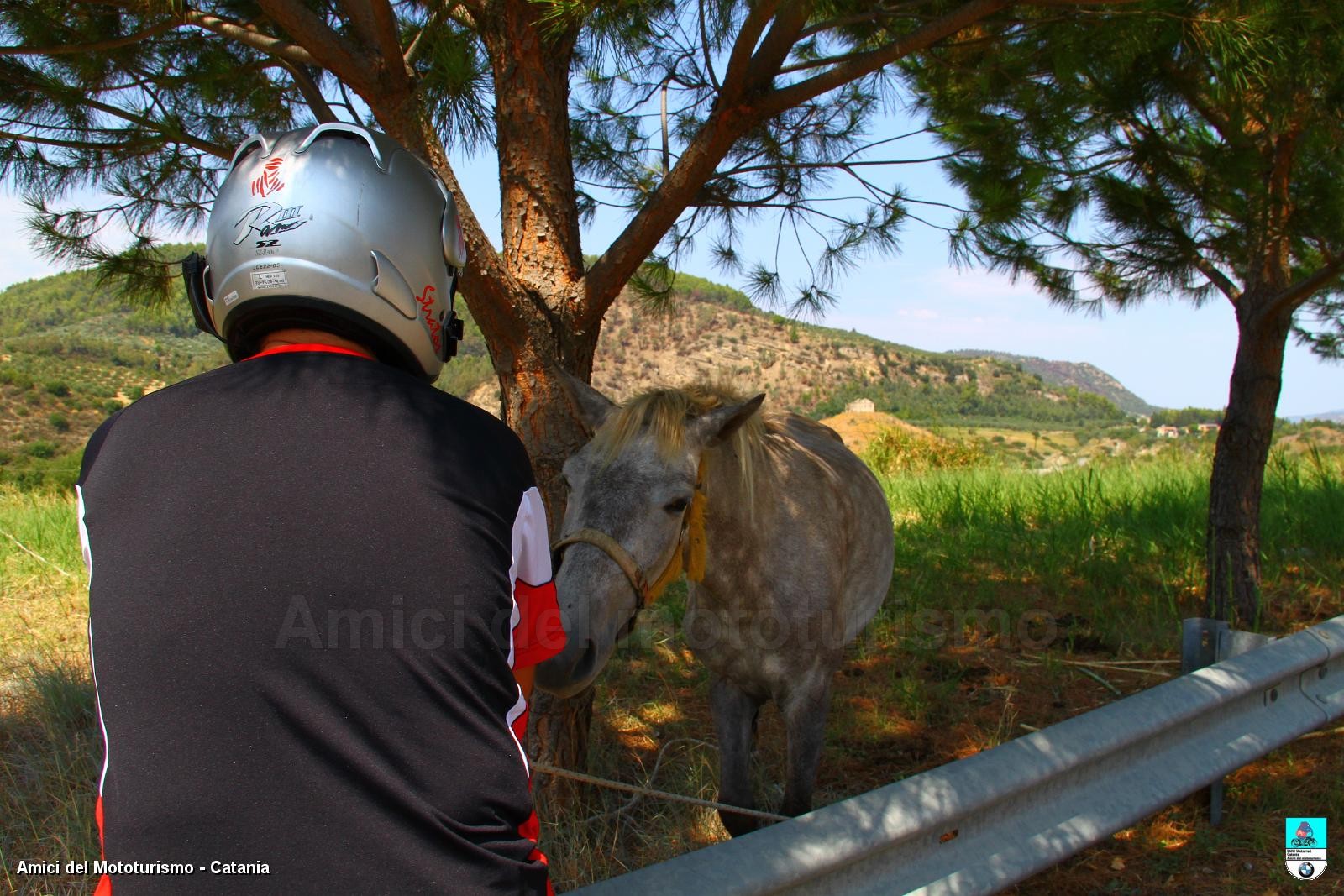 calabria2013_0544.JPG