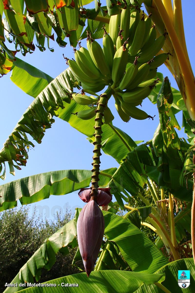 calabria2013_0903.JPG