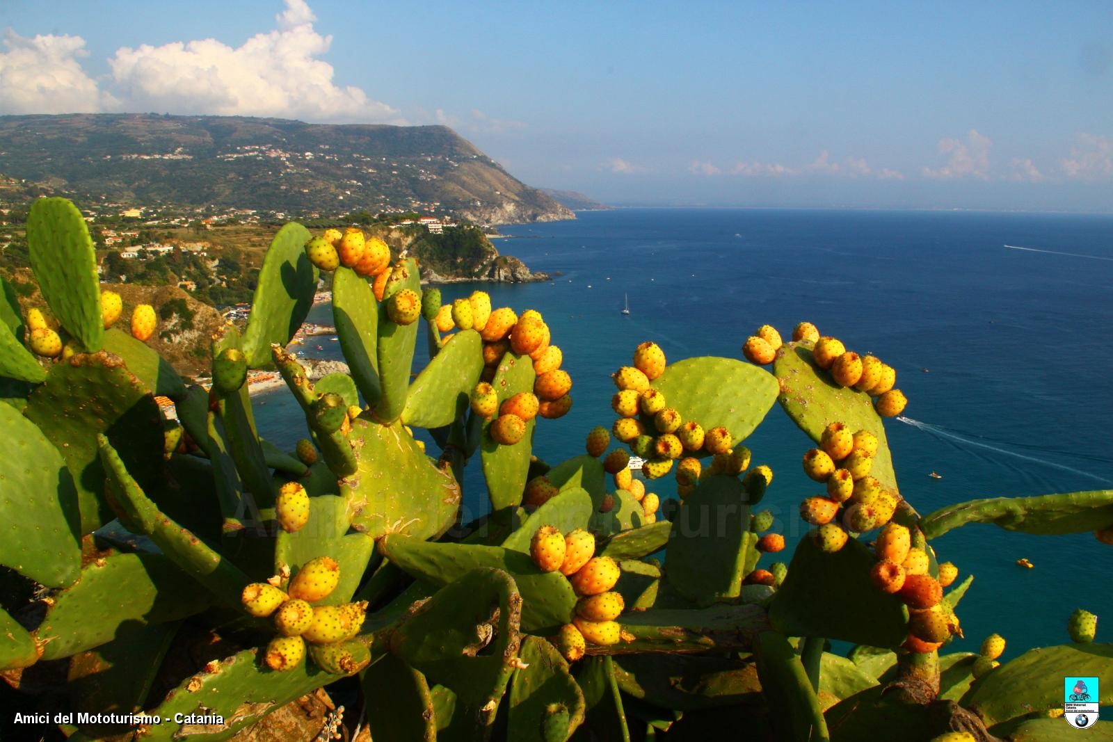 calabria2013_0928.JPG