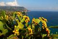 calabria2013_0928