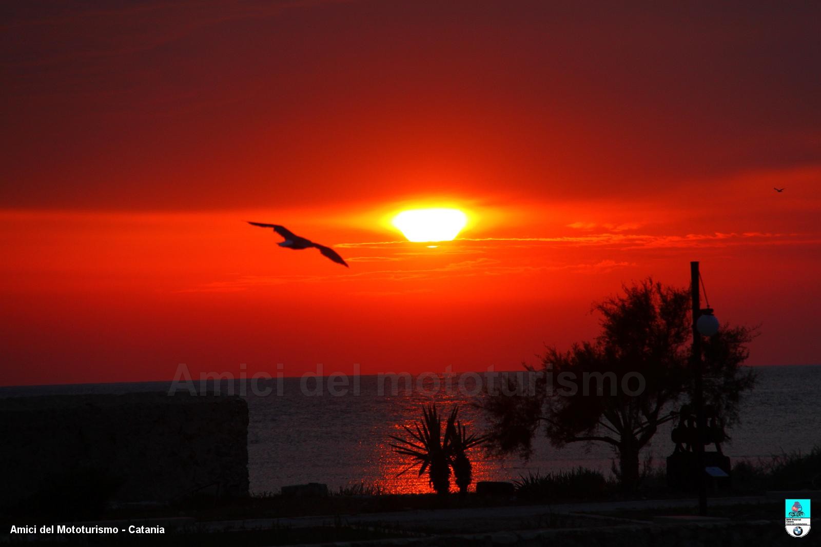 trapani2014_0462.JPG