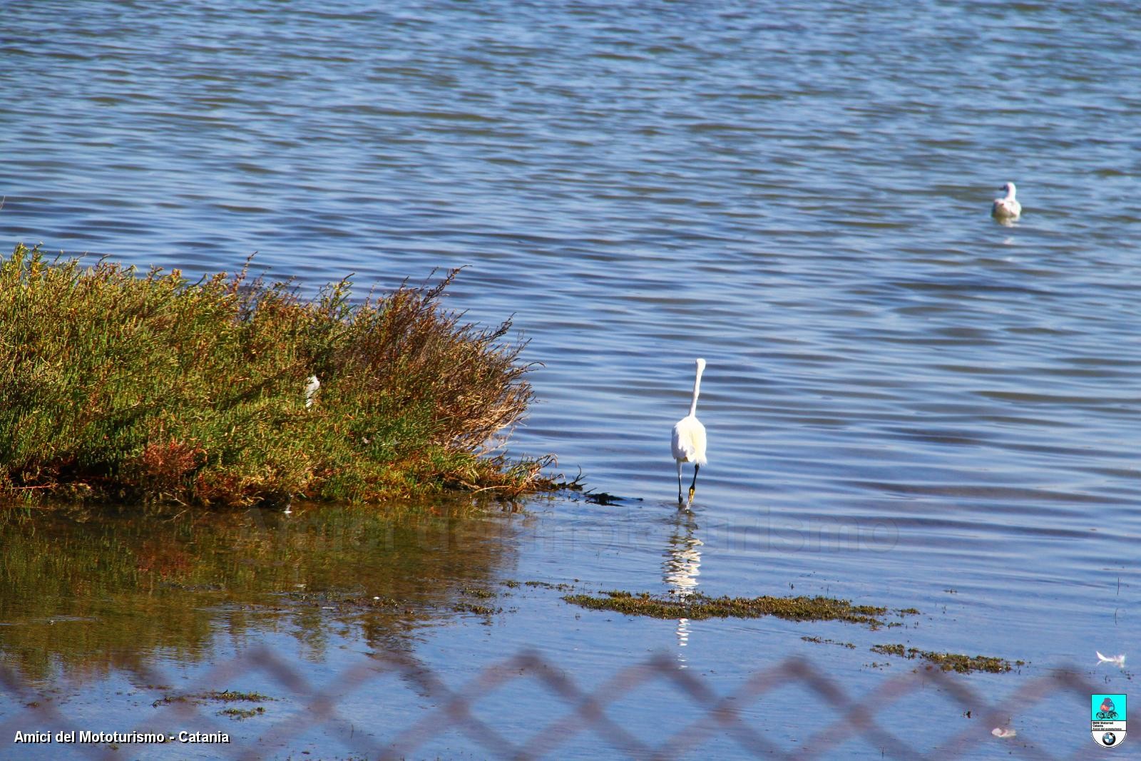 trapani2014_0622.JPG