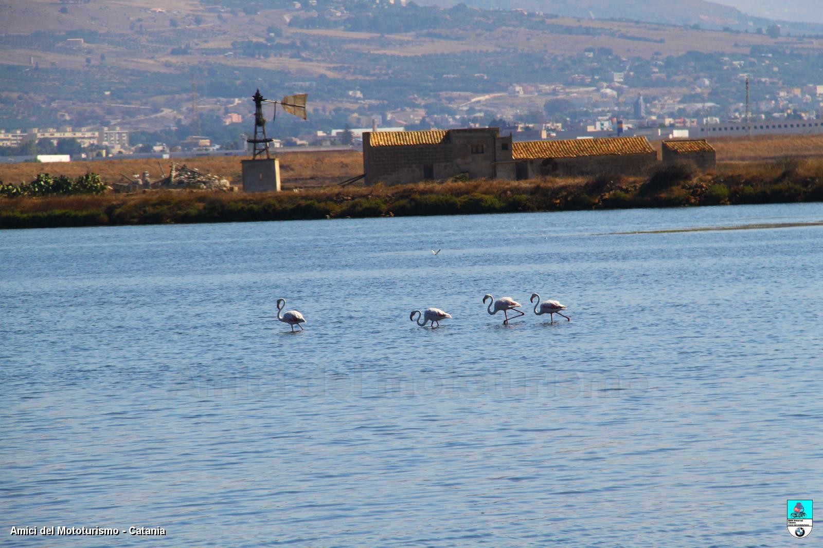 trapani2014_0627.JPG