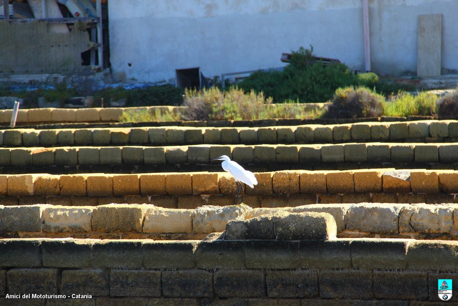 trapani2014_0700.JPG