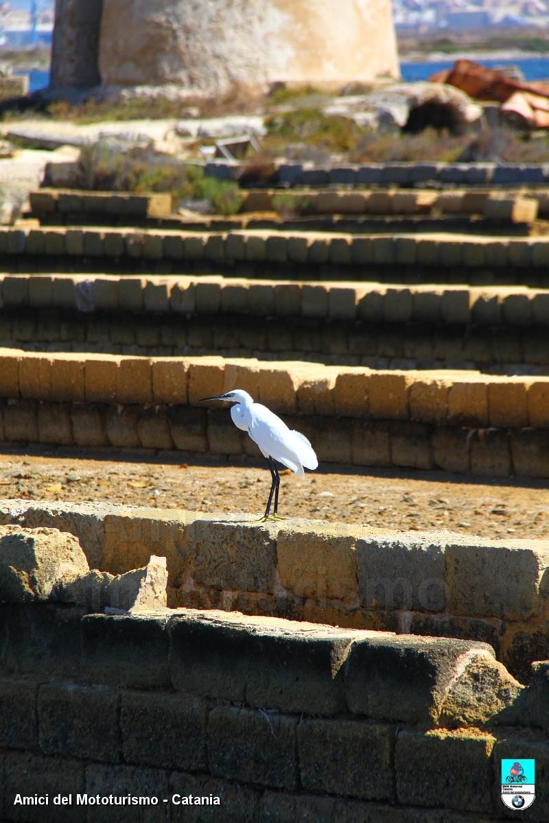 trapani2014_0701.JPG