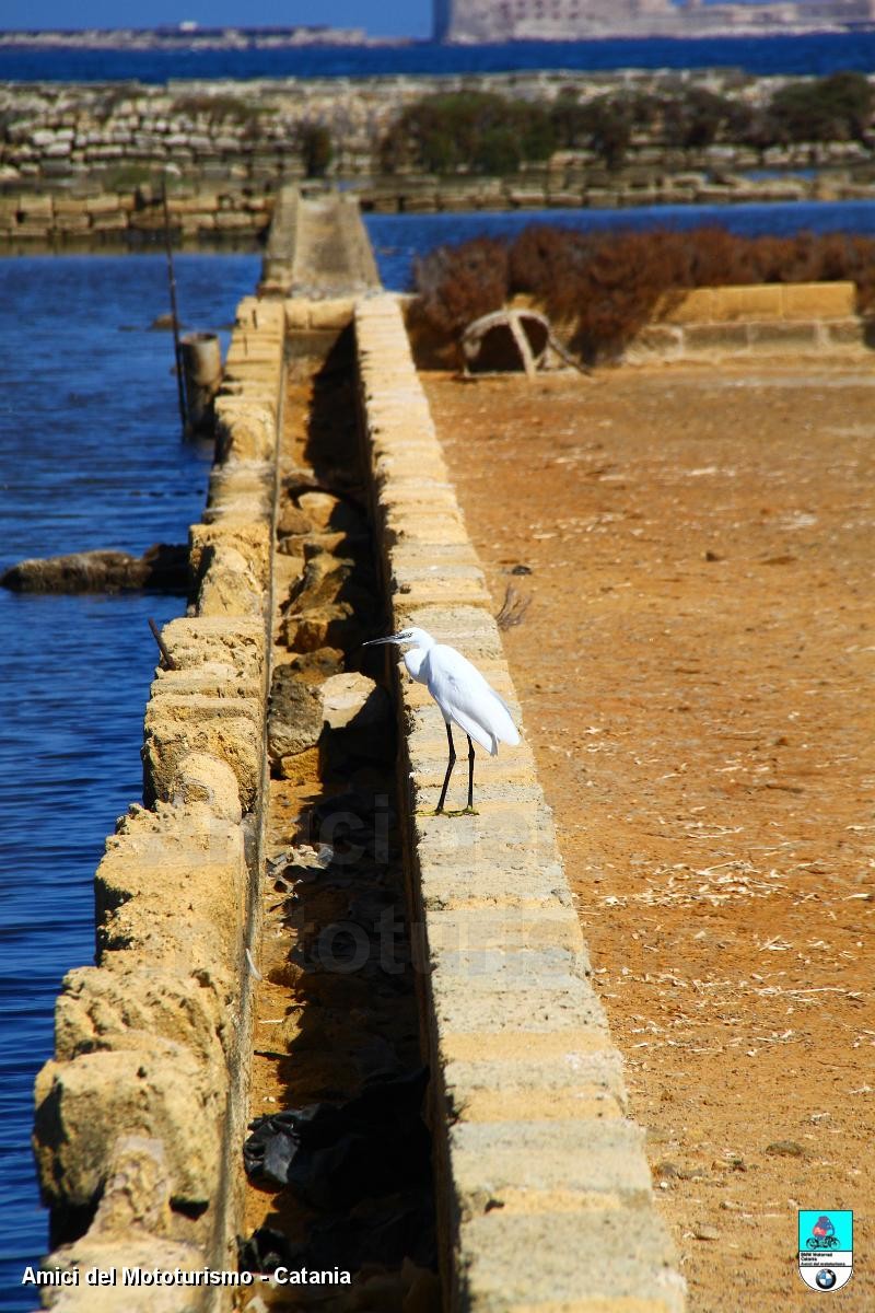 trapani2014_0703.JPG