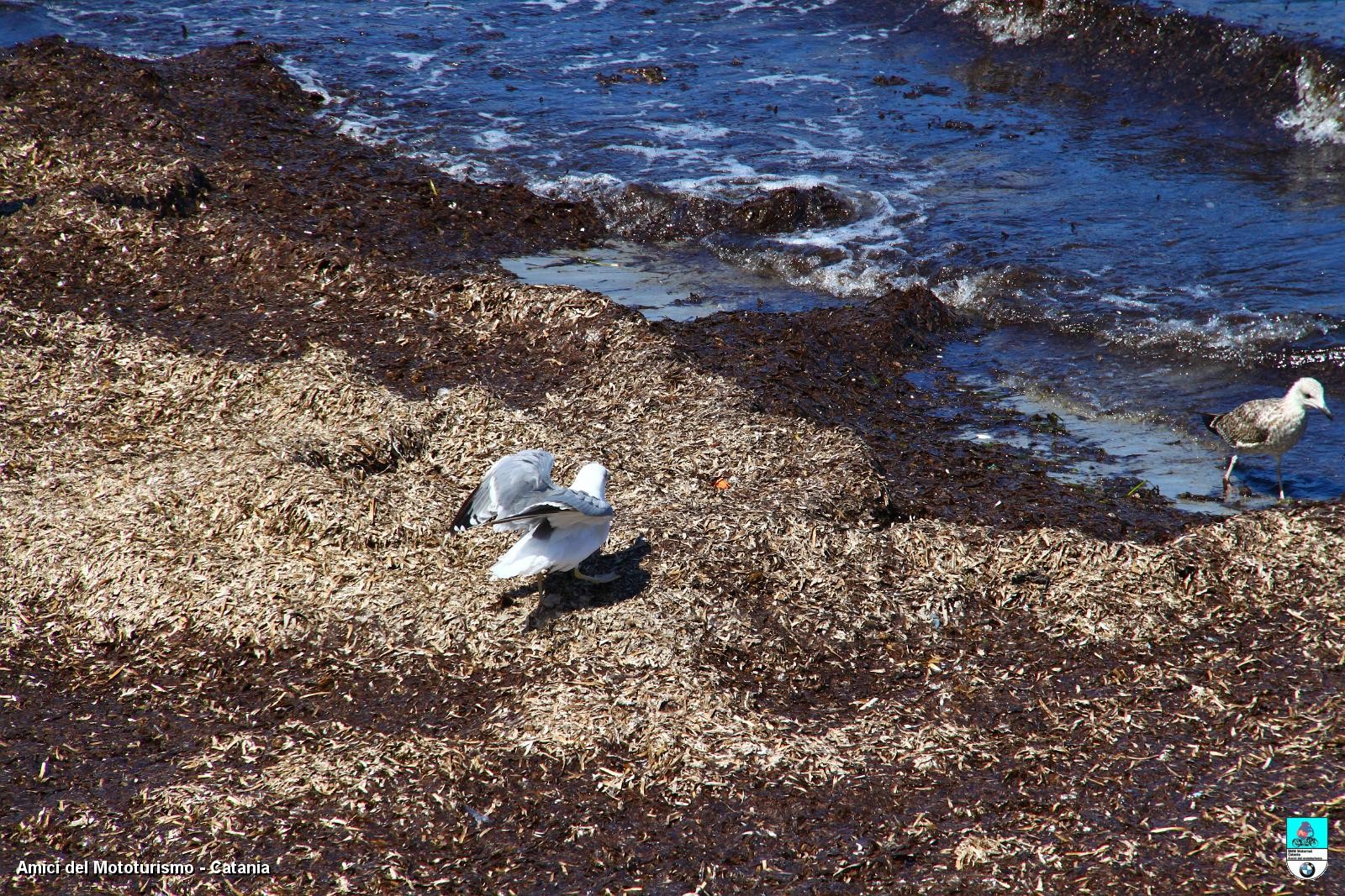 trapani2014_0761.JPG