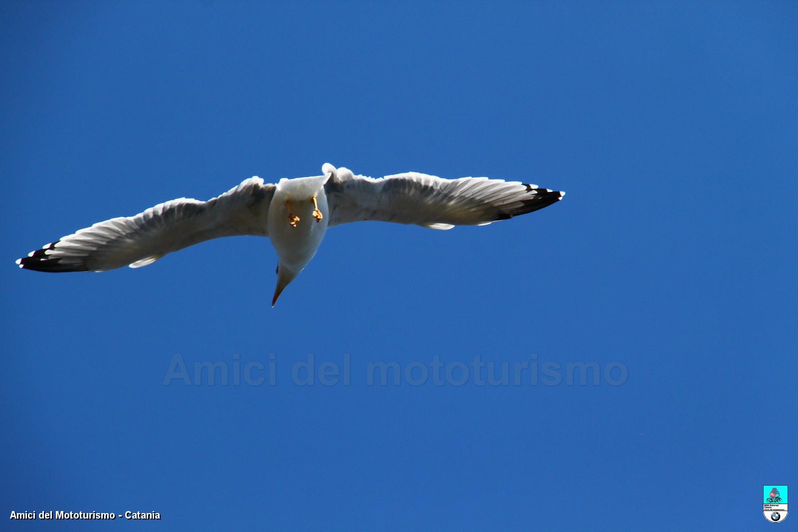 trapani2014_0766.JPG