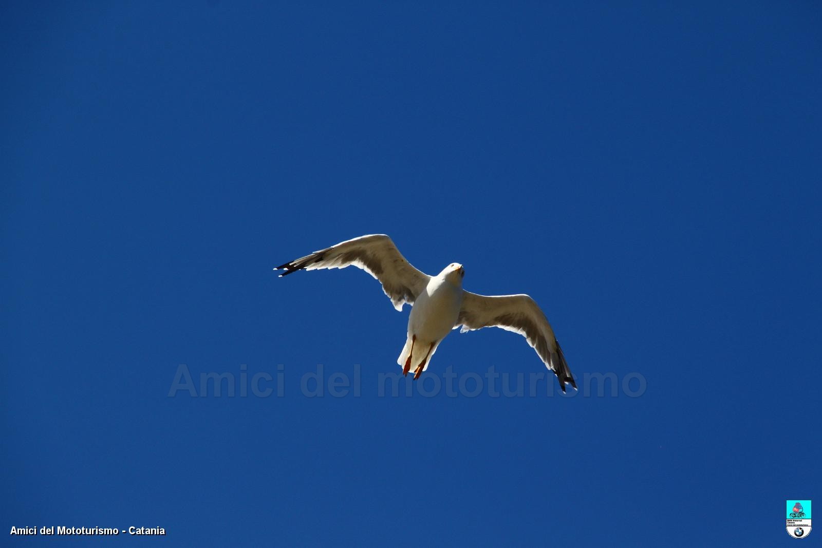 trapani2014_0769.JPG