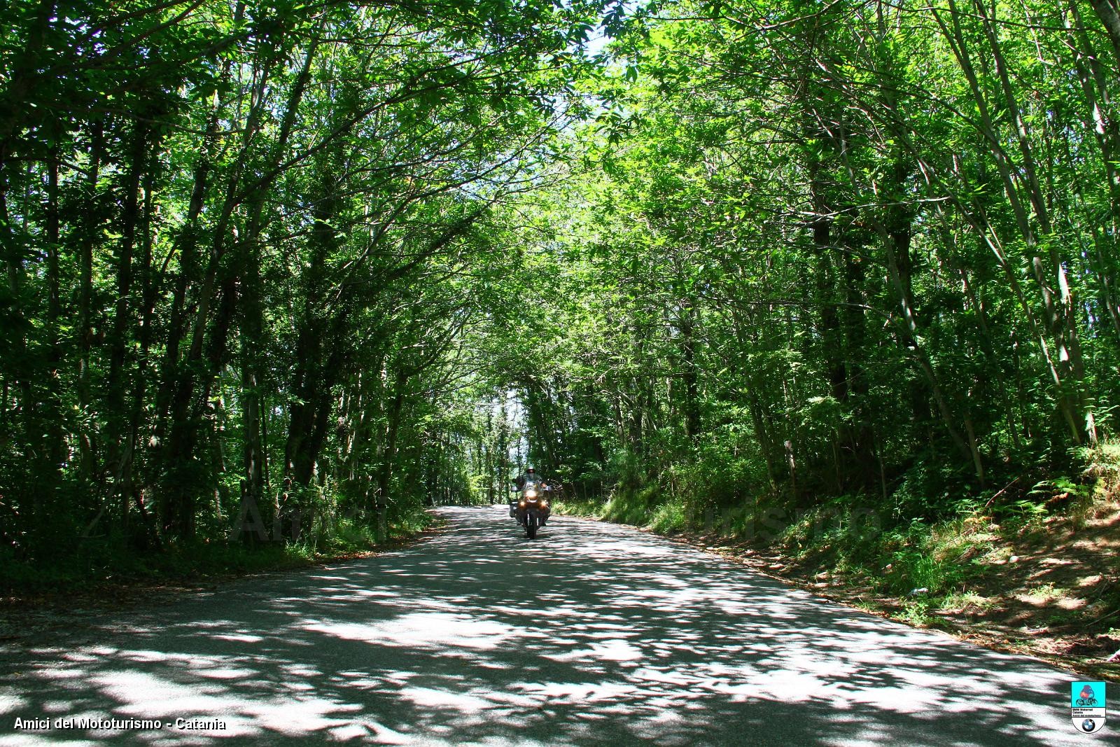 Calabria14_0608.JPG