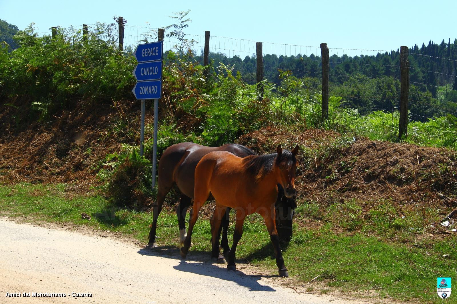 Calabria14_0614.JPG