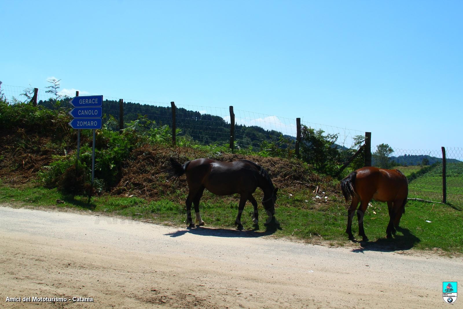 Calabria14_0615.JPG