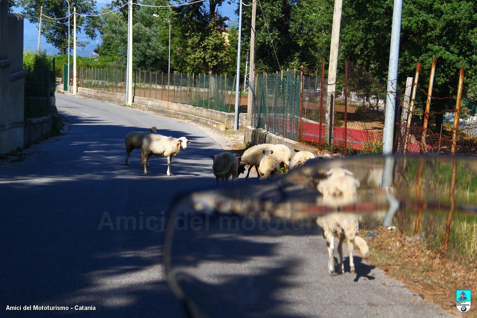 Calabria14_0682.JPG