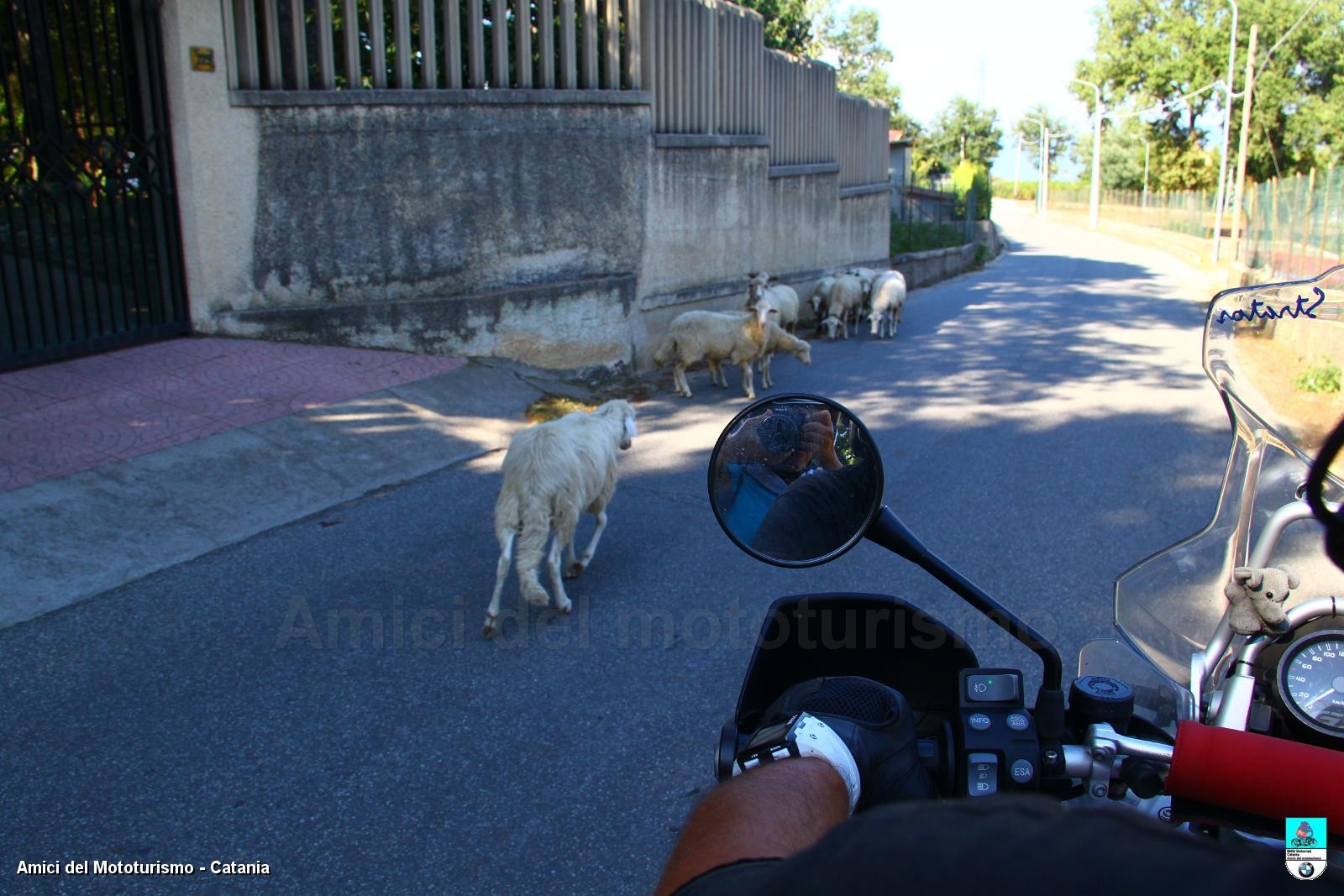 Calabria14_0684.JPG