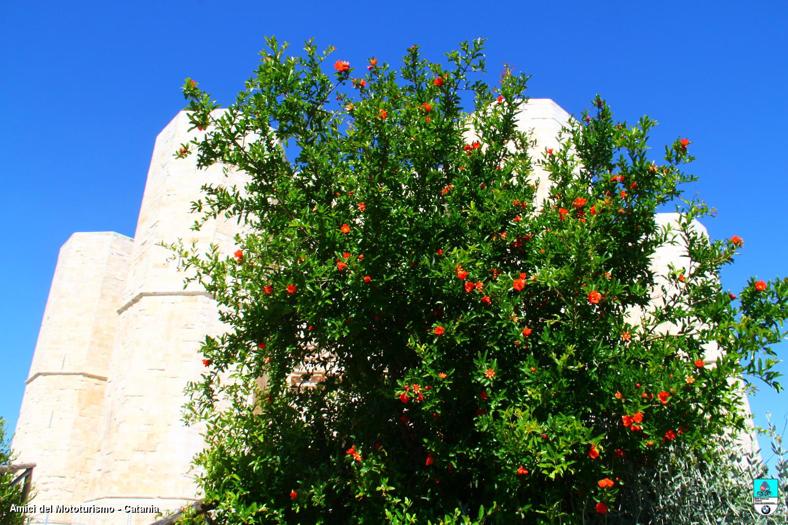 puglia_0739.JPG