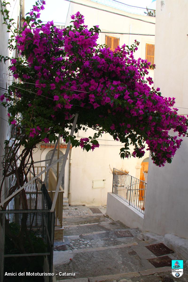 puglia_2868.JPG