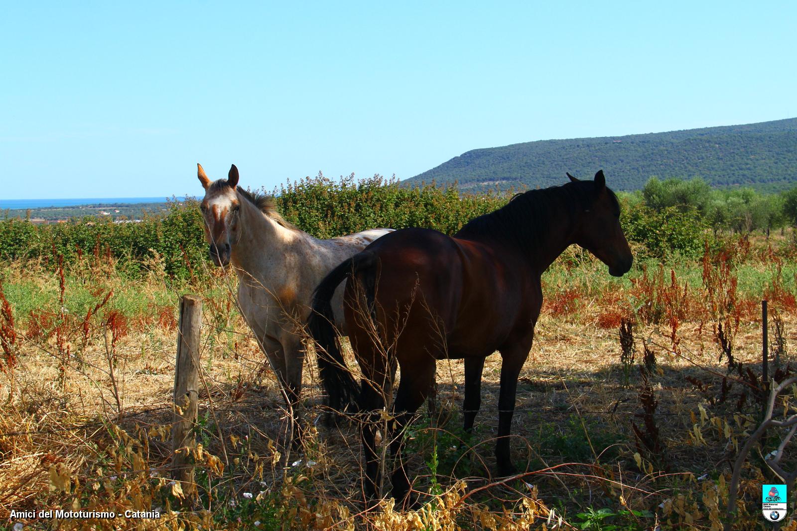 puglia_2549.JPG